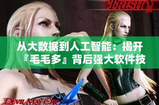 从大数据到人工智能：揭开『毛毛多』背后强大软件技术的秘密