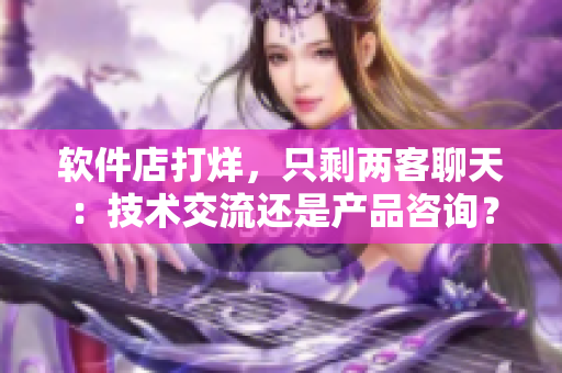 软件店打烊，只剩两客聊天：技术交流还是产品咨询？