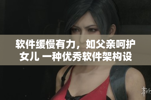 软件缓慢有力，如父亲呵护女儿 一种优秀软件架构设计的实践经验