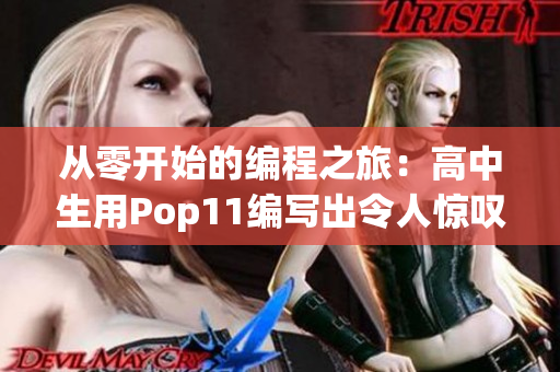 从零开始的编程之旅：高中生用Pop11编写出令人惊叹的软件