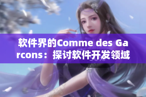软件界的Comme des Garcons：探讨软件开发领域中的创意与设计