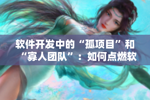 软件开发中的“孤项目”和“寡人团队”：如何点燃软件项目的创新火花？