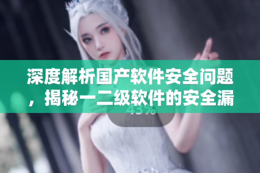 深度解析国产软件安全问题，揭秘一二级软件的安全漏洞和病毒源头