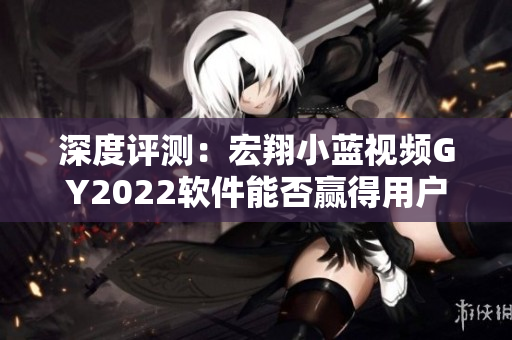 深度评测：宏翔小蓝视频GY2022软件能否赢得用户青睐？