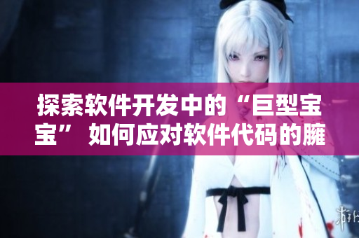 探索软件开发中的“巨型宝宝” 如何应对软件代码的臃肿问题。