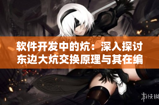 软件开发中的炕：深入探讨东边大炕交换原理与其在编程中的应用