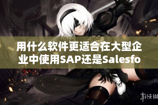 用什么软件更适合在大型企业中使用SAP还是Salesforce