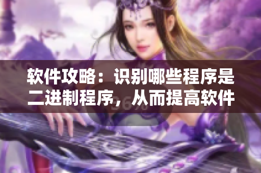 软件攻略：识别哪些程序是二进制程序，从而提高软件运行效率
