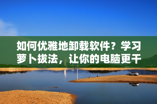如何优雅地卸载软件？学习萝卜拔法，让你的电脑更干净！