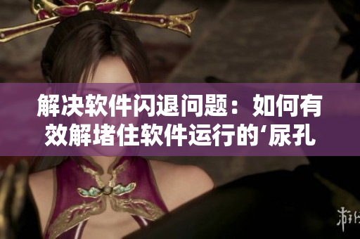 解决软件闪退问题：如何有效解堵住软件运行的‘尿孔’