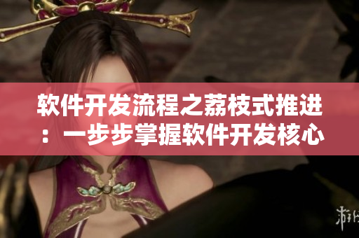 软件开发流程之荔枝式推进：一步步掌握软件开发核心技术