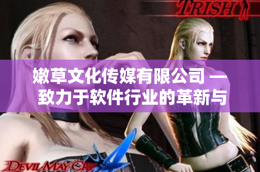 嫩草文化传媒有限公司 — 致力于软件行业的革新与发展