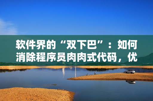 软件界的“双下巴”：如何消除程序员肉肉式代码，优化软件性能？