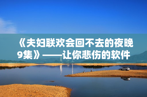 《夫妇联欢会回不去的夜晚9集》——让你悲伤的软件故障之夜