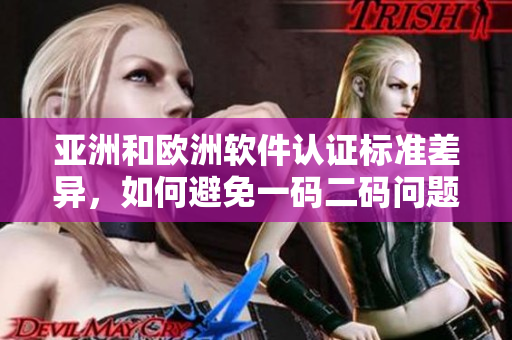 亚洲和欧洲软件认证标准差异，如何避免一码二码问题？