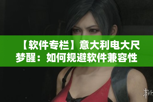 【软件专栏】意大利电大尺梦醒：如何规避软件兼容性问题