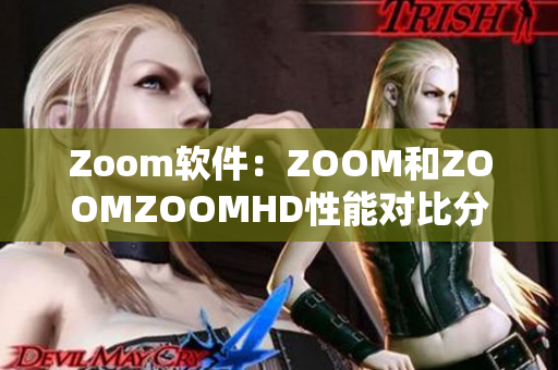 Zoom软件：ZOOM和ZOOMZOOMHD性能对比分析