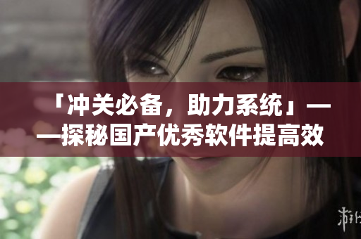 「冲关必备，助力系统」——探秘国产优秀软件提高效率的秘密