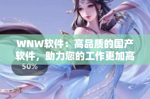 WNW软件：高品质的国产软件，助力您的工作更加高效