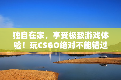 独自在家，享受极致游戏体验！玩CSGO绝对不能错过！