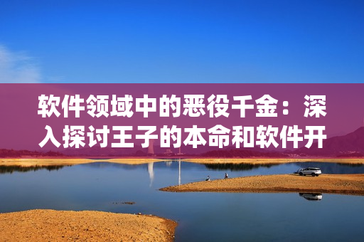 软件领域中的恶役千金：深入探讨王子的本命和软件开发