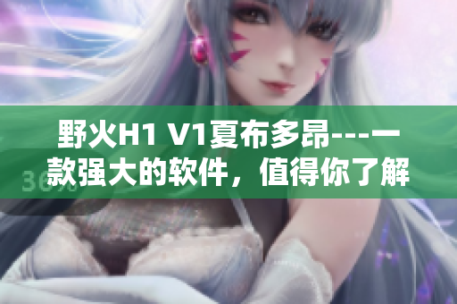 野火H1 V1夏布多昂---一款强大的软件，值得你了解！