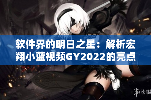 软件界的明日之星：解析宏翔小蓝视频GY2022的亮点与前景