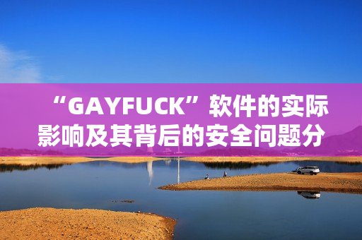“GAYFUCK”软件的实际影响及其背后的安全问题分析与探讨