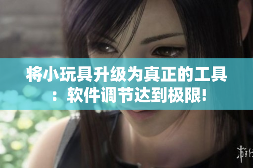 将小玩具升级为真正的工具：软件调节达到极限!