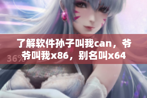 了解软件孙子叫我can，爷爷叫我x86，别名叫x64