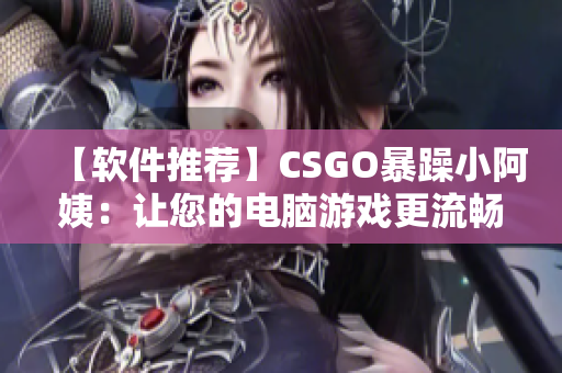 【软件推荐】CSGO暴躁小阿姨：让您的电脑游戏更流畅的调试软件
