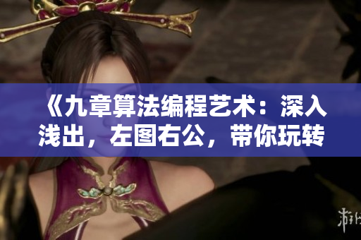 《九章算法编程艺术：深入浅出，左图右公，带你玩转软件世界》