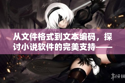 从文件格式到文本编码，探讨小说软件的完美支持——小处雌女TXT视频
