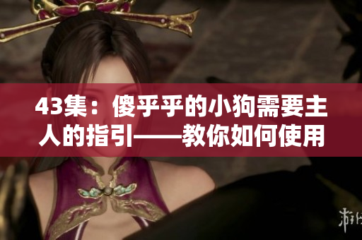 43集：傻乎乎的小狗需要主人的指引——教你如何使用软件