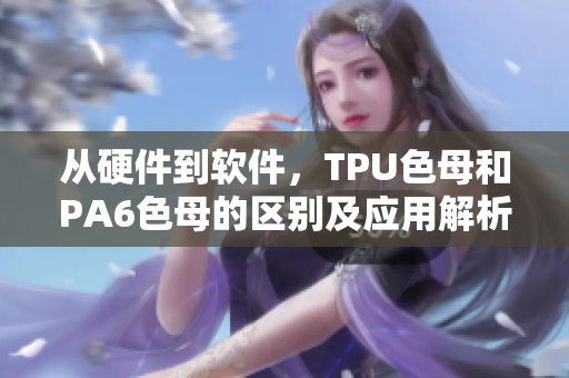 从硬件到软件，TPU色母和PA6色母的区别及应用解析