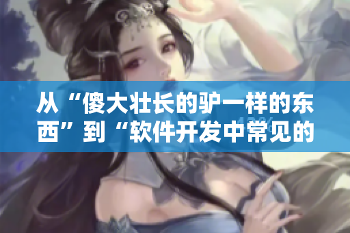 从“傻大壮长的驴一样的东西”到“软件开发中常见的初学者错误”