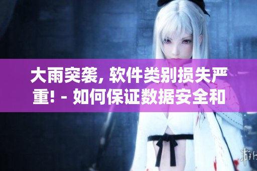 大雨突袭, 软件类别损失严重! - 如何保证数据安全和保护系统？