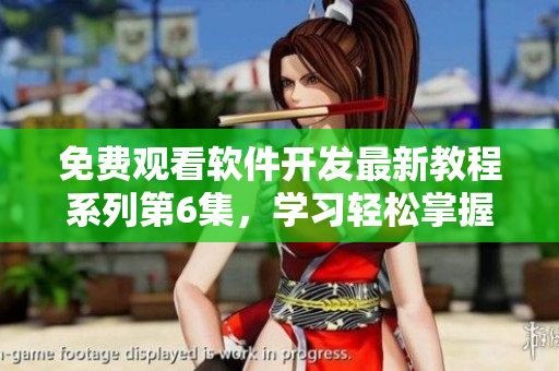 免费观看软件开发最新教程系列第6集，学习轻松掌握编程技巧！