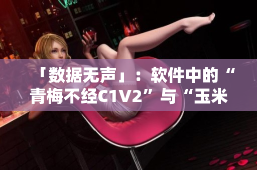 「数据无声」：软件中的“青梅不经C1V2”与“玉米”问题