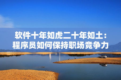 软件十年如虎二十年如土：程序员如何保持职场竞争力？