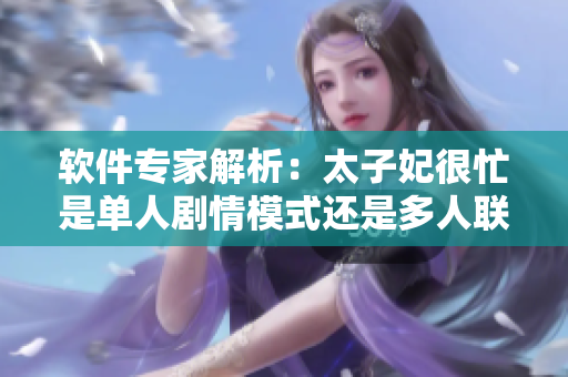 软件专家解析：太子妃很忙是单人剧情模式还是多人联机模式？