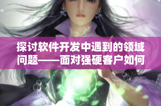 探讨软件开发中遇到的领域问题——面对强硬客户如何应对