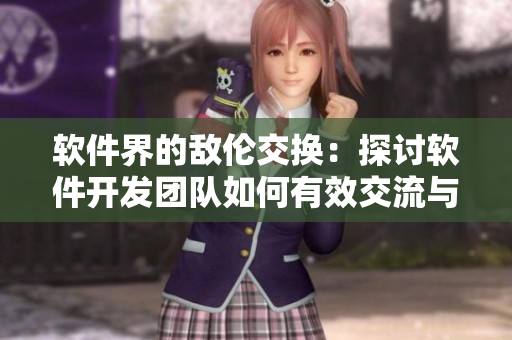 软件界的敌伦交换：探讨软件开发团队如何有效交流与协作的小说
