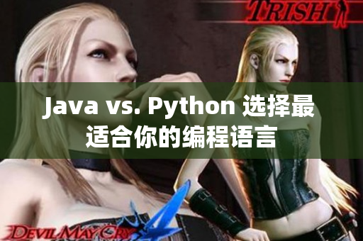 Java vs. Python 选择最适合你的编程语言
