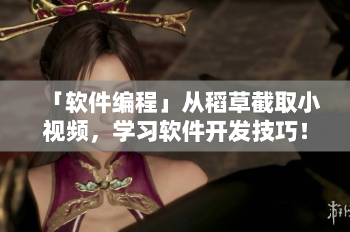 「软件编程」从稻草截取小视频，学习软件开发技巧！