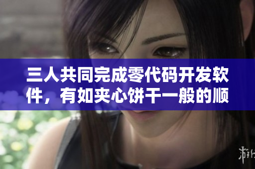 三人共同完成零代码开发软件，有如夹心饼干一般的顺畅体验