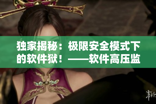 独家揭秘：极限安全模式下的软件狱！——软件高压监狱！