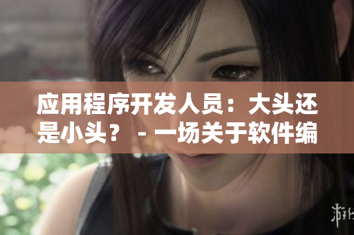 应用程序开发人员：大头还是小头？ - 一场关于软件编码的争论