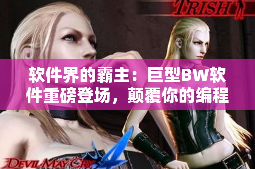软件界的霸主：巨型BW软件重磅登场，颠覆你的编程体验