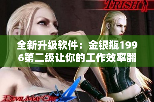 全新升级软件：金银瓶1996第二级让你的工作效率翻倍！